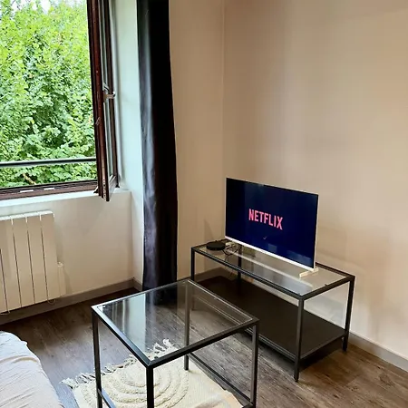 Apartment L'erable - Proche De L'ile Barbe *